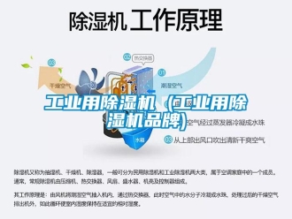 常見問(wèn)題工業(yè)用除濕機(jī) (工業(yè)用除濕機(jī)品牌)