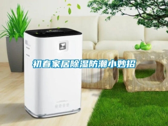 企業新聞初春家居除濕防潮小妙招