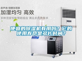 企業新聞便宜的除濕機有用嗎？它的使用壽命是多長時間？