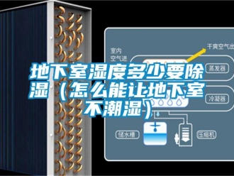 企業新聞地下室濕度多少要除濕（怎么能讓地下室不潮濕）