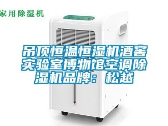 企業新聞吊頂恒溫恒濕機酒窖實驗室博物館空調除濕機品牌：松越