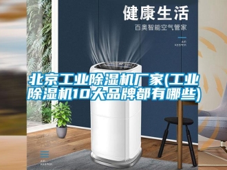 企業新聞北京工業除濕機廠家(工業除濕機10大品牌都有哪些)
