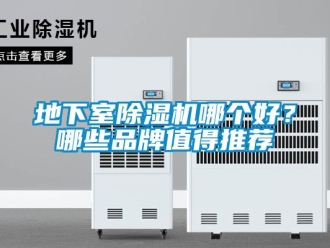 企業(yè)新聞地下室除濕機(jī)哪個(gè)好？哪些品牌值得推薦