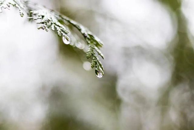 空氣濕度大帶來的危害有哪些，你知道嗎？